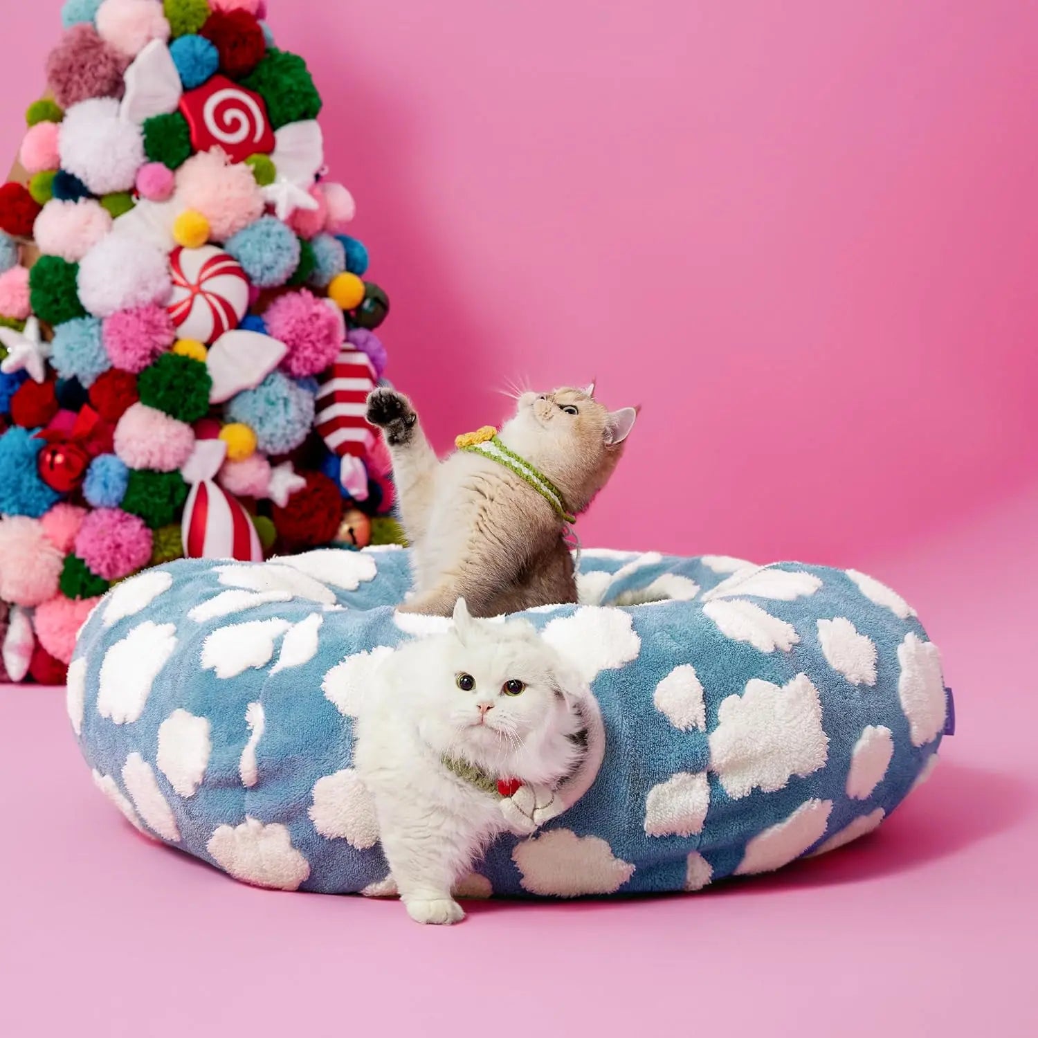 Cozy Cat Tunnel Bed for Indoor Cats – Soft & Cute Donut Tunnel with Washable Circle Cushion, 2-in-1 Pet Play Toy & Lounger