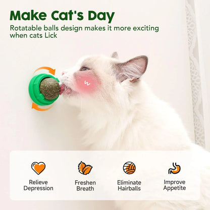 Catnip Toys Balls 4-Pack – Edible Silvervine Energy Balls for Cats, Healthy Dental Chew Toys & Teeth Cleaning Treats