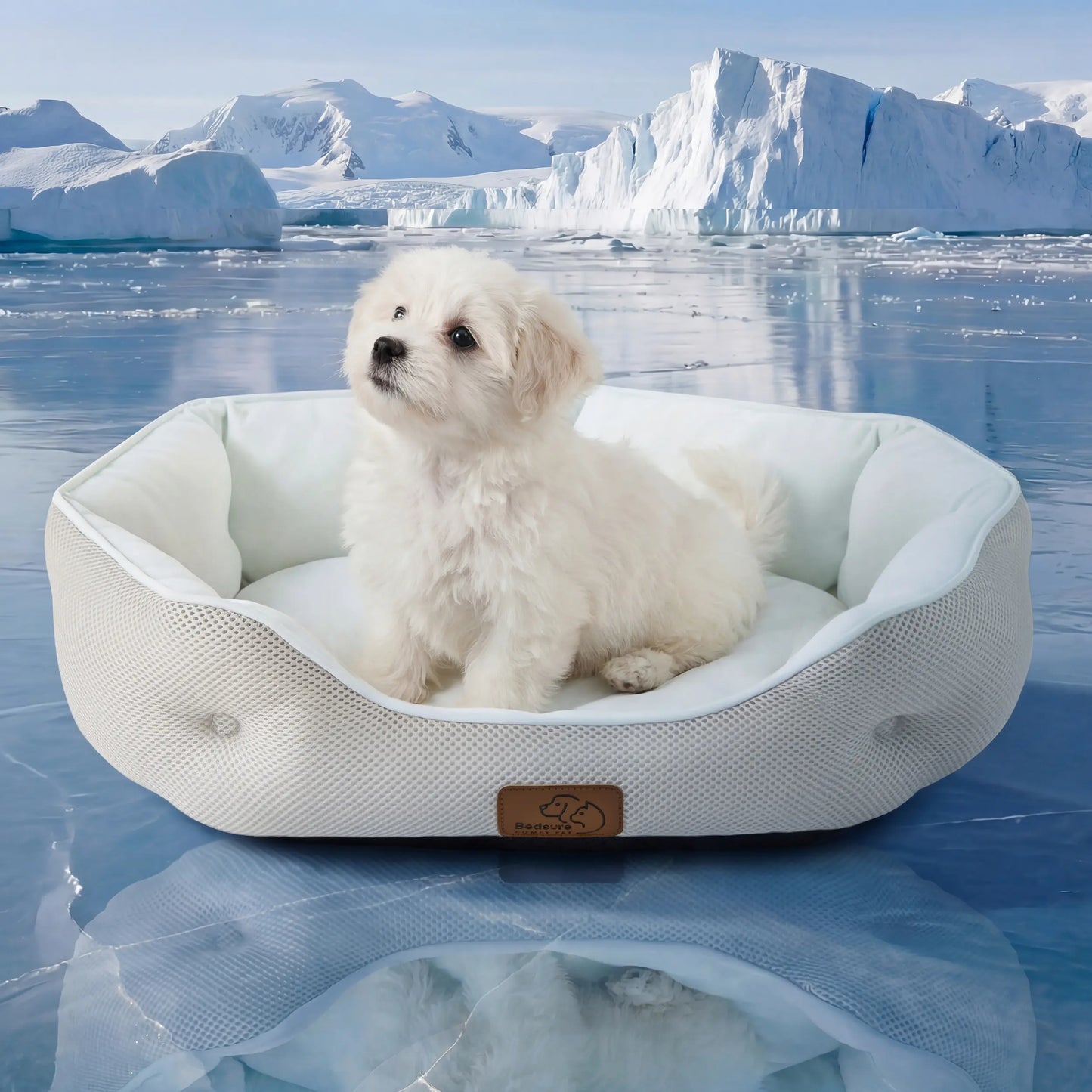 Cozy Cat Tunnel Bed for Indoor Cats – Soft & Cute Donut Tunnel with Washable Circle Cushion, 2-in-1 Pet Play Toy & Lounger