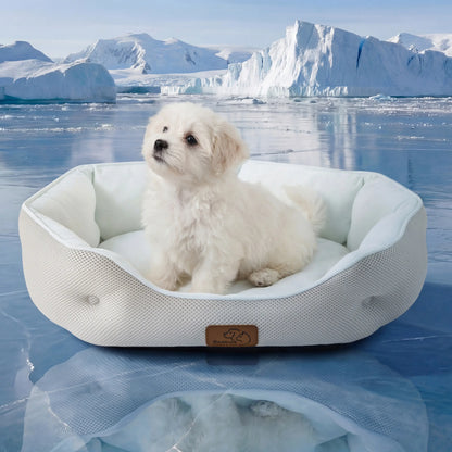 Cozy Cat Tunnel Bed for Indoor Cats – Soft & Cute Donut Tunnel with Washable Circle Cushion, 2-in-1 Pet Play Toy & Lounger